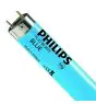 Philips MASTER TL-D 36W - Niebieski | 120cm
